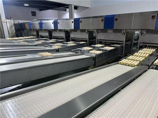 小町蛋業啟動24小時透明工廠直播